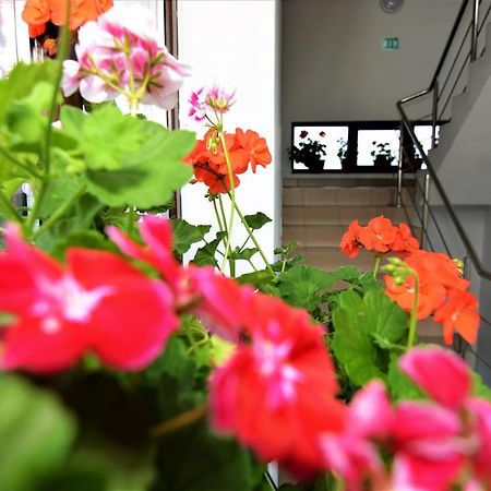 CălimăneştiCasa Mirajアパートメント エクステリア 写真